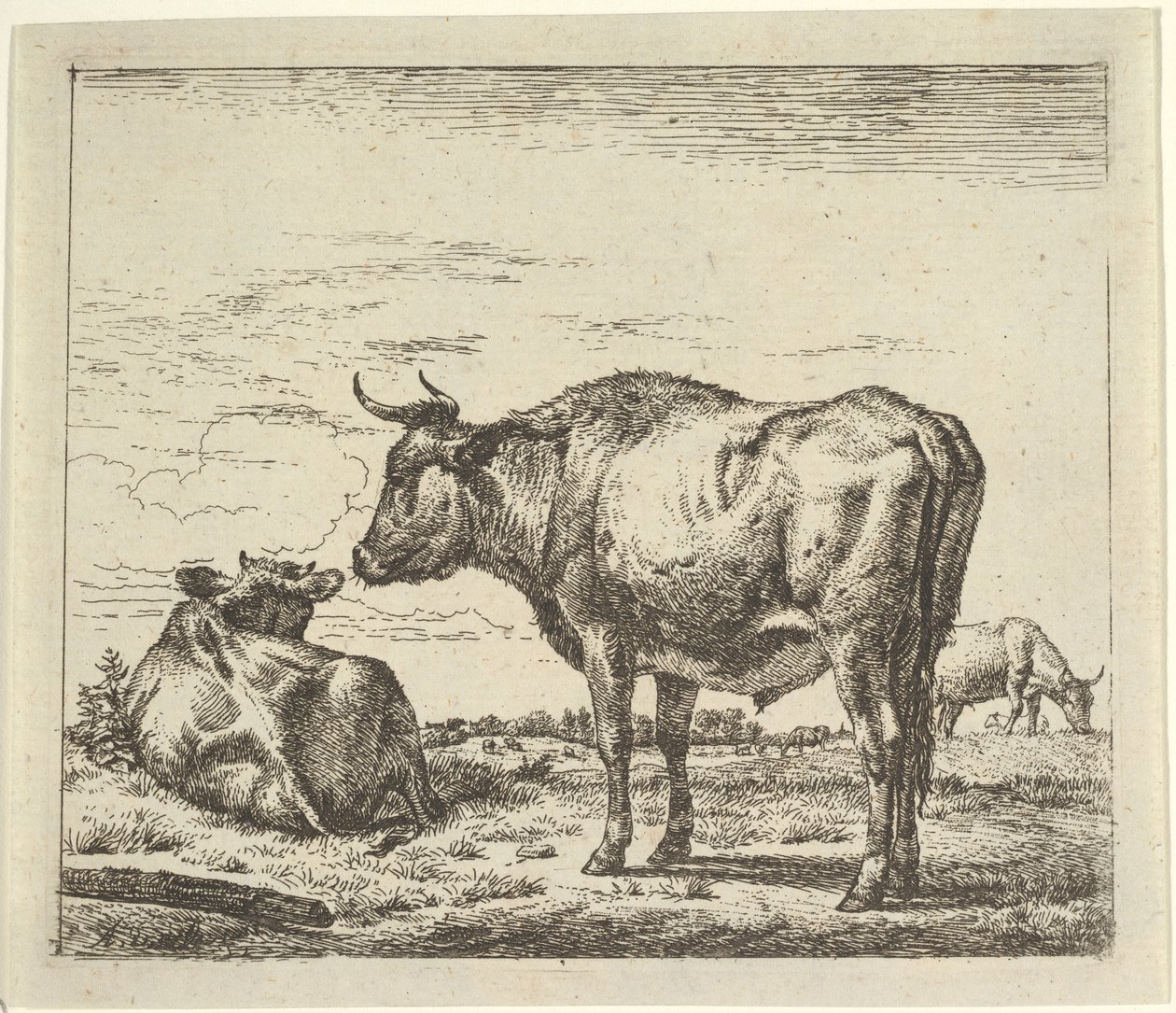 Staande stier, uit Verschillende dieren door Adriaen van de Velde