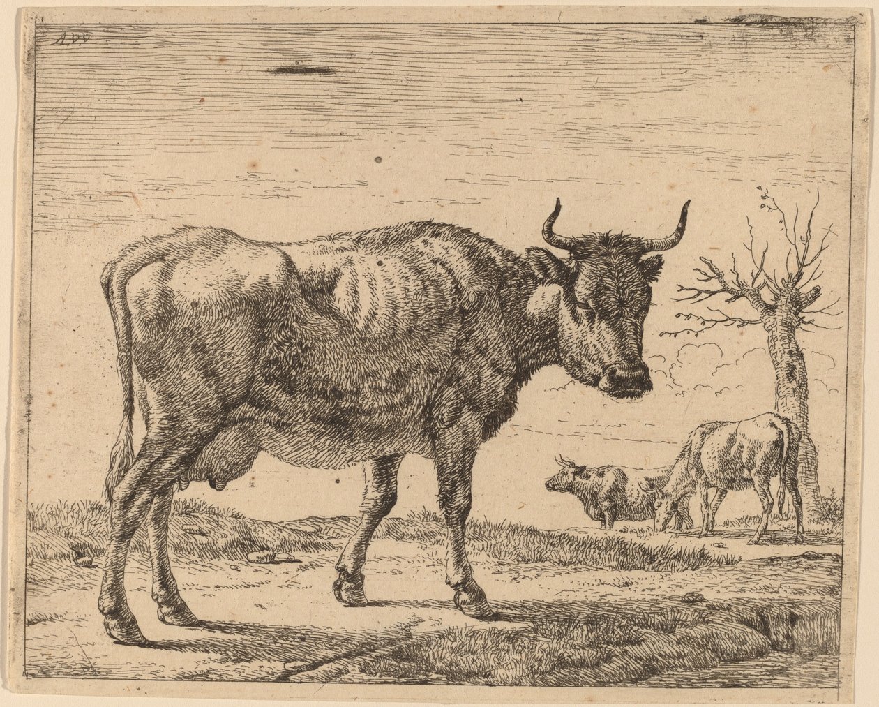 Drie Koeien door Adriaen van de Velde