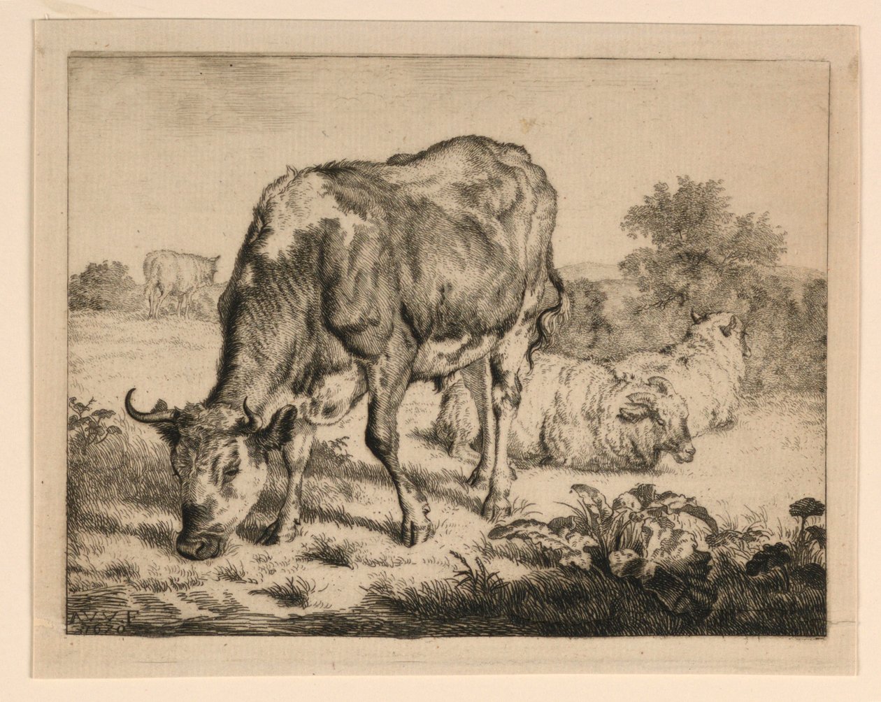 Os en drie schapen door Adrian van de Velde