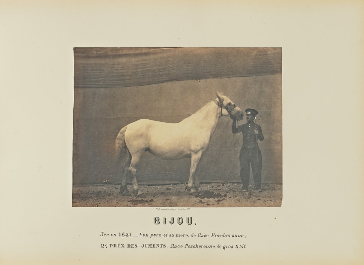 Bijou door Adrien Alban Tournachon