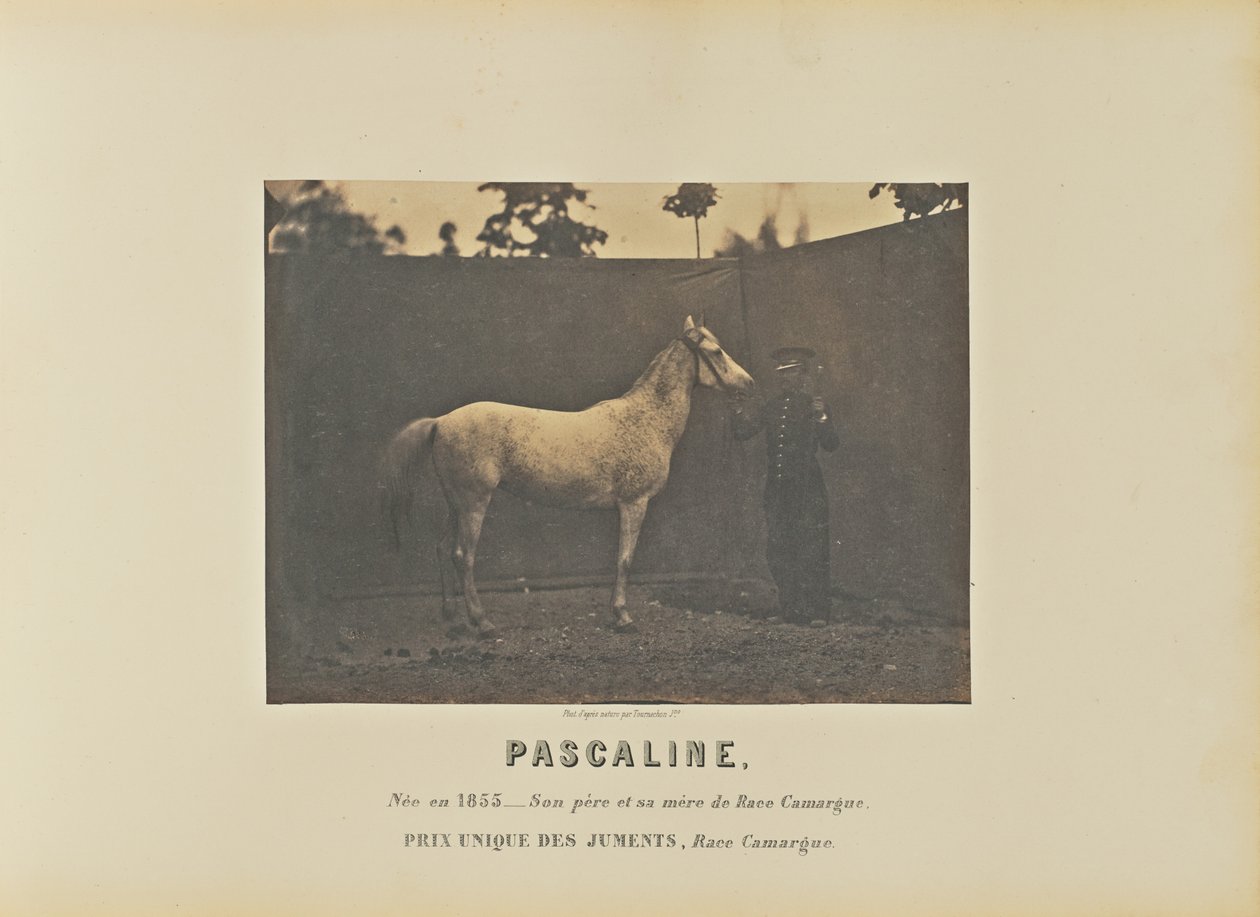 Pascaline door Adrien Alban Tournachon