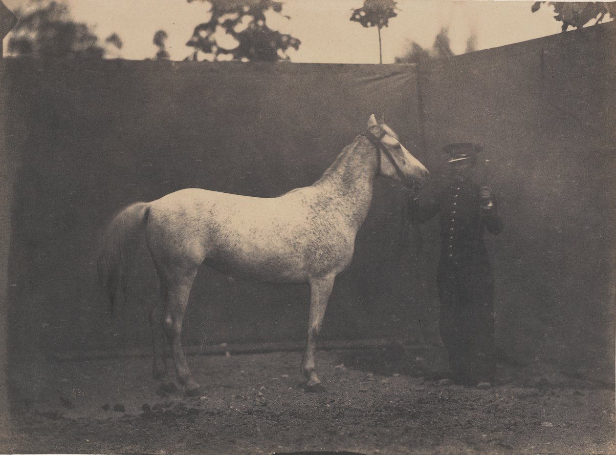 Pascaline, ca. 1855-60 door Adrien Alban Tournachon