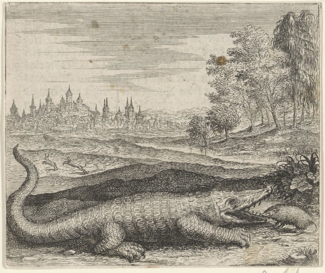 Fabel van de krokodil en mangoest door Egidius  Sadeler (II)