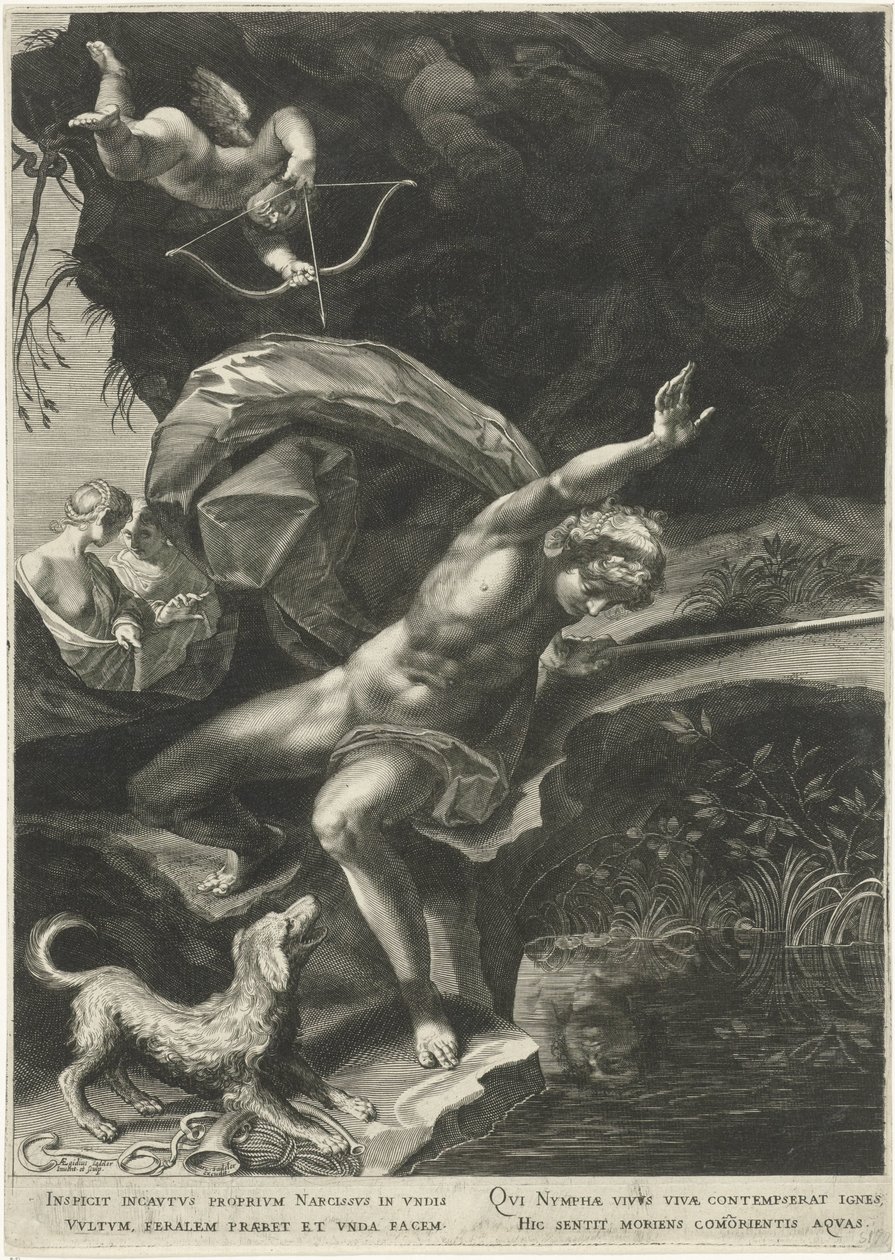 Narcissus bij de bron door Egidius  Sadeler (II)
