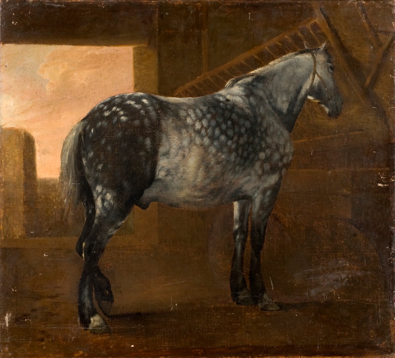 Een Schimmel door Aelbert Cuyp