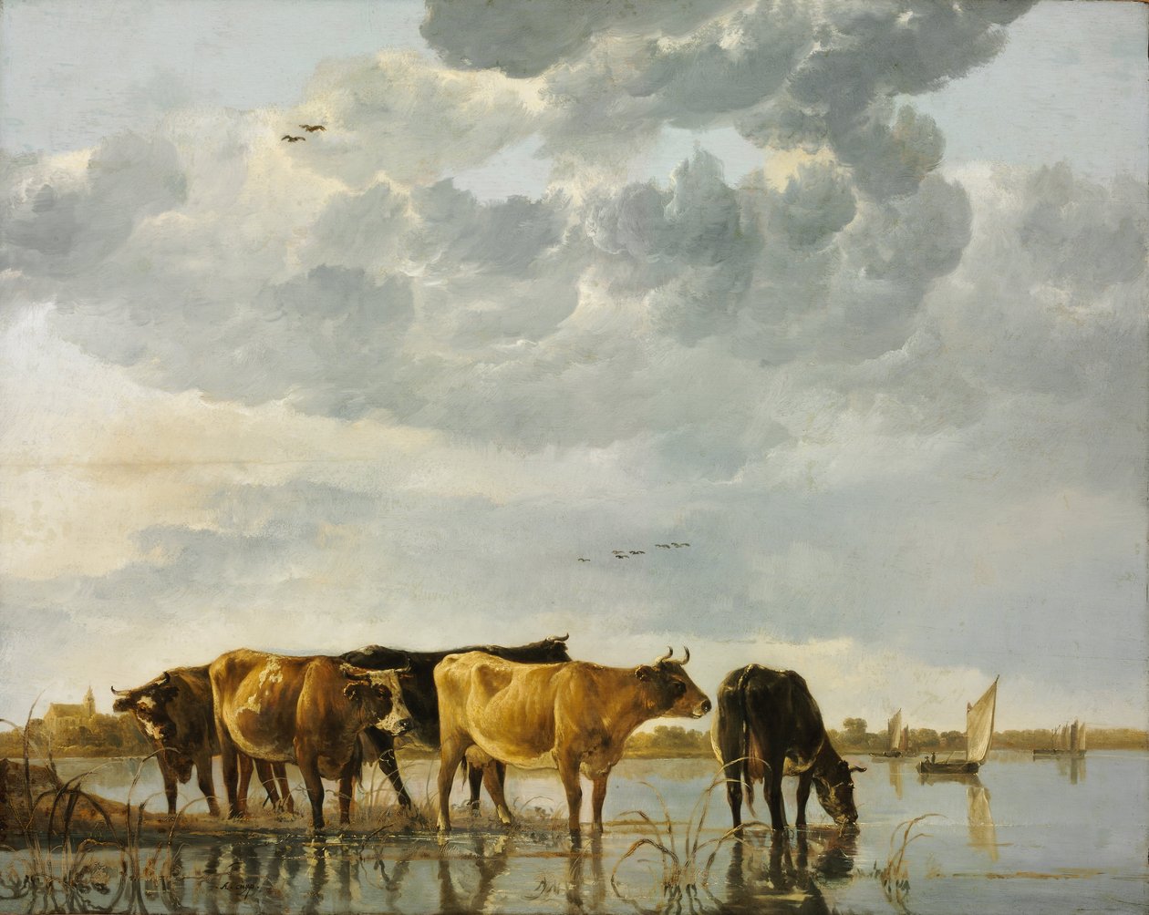 Vee in het water door Aelbert Cuyp