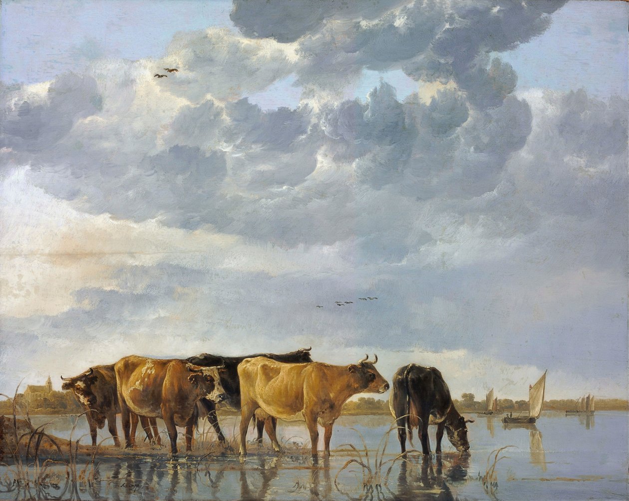 Vee in het water door Aelbert Cuyp