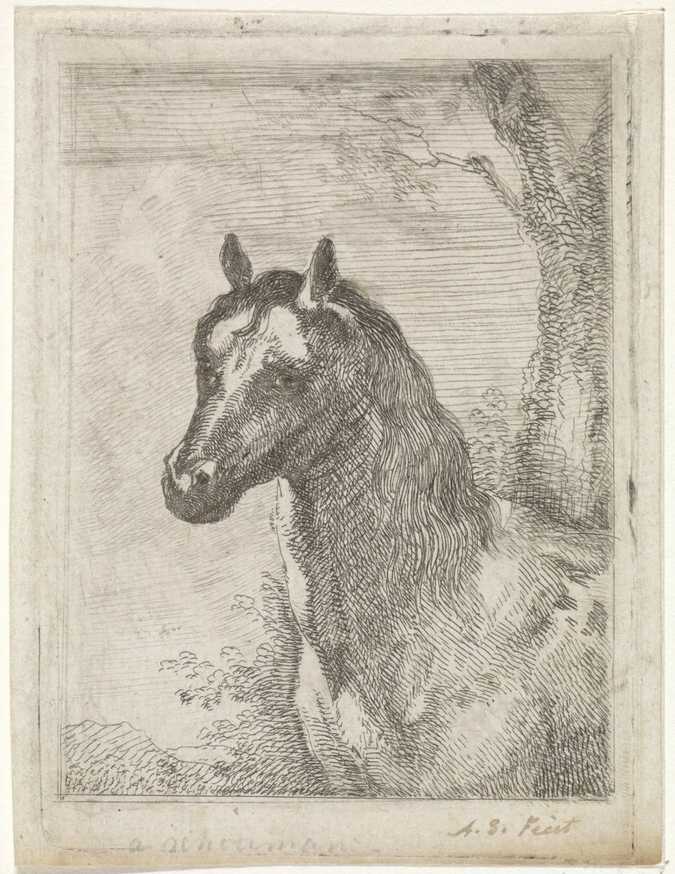 Paardenkop door Aert Schouman (signed by artist)