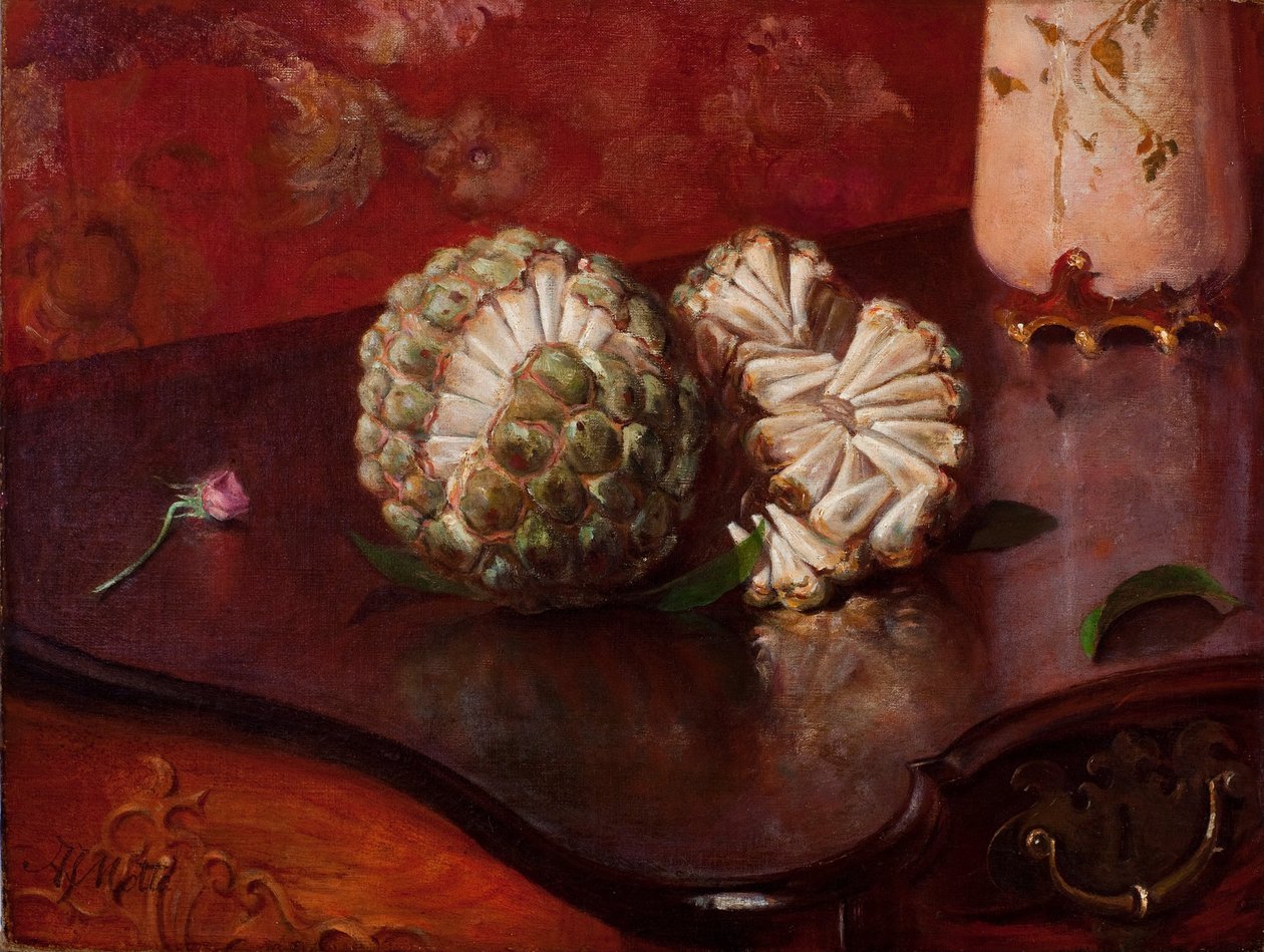 Sweetsop door Agostinhoda Motta