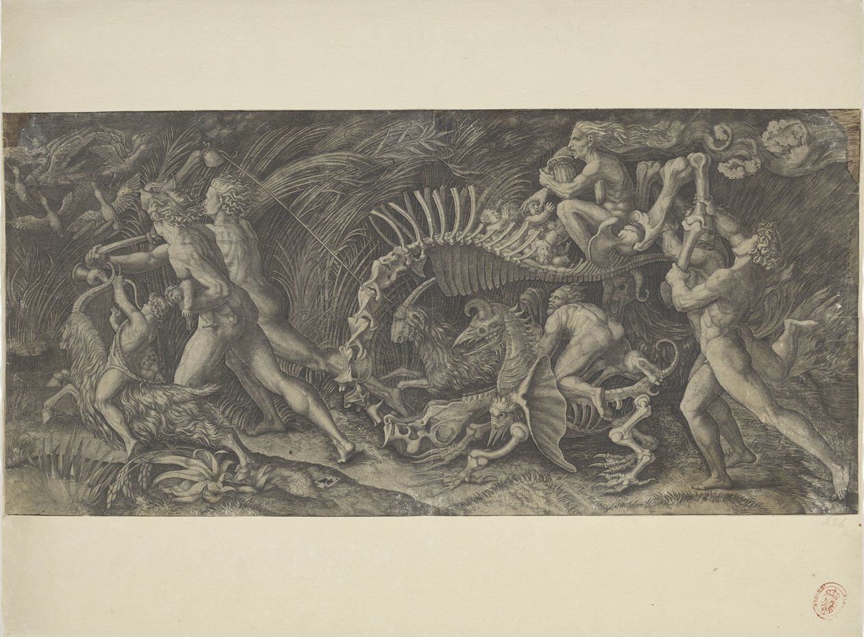 Het karkas door Agostino Veneziano