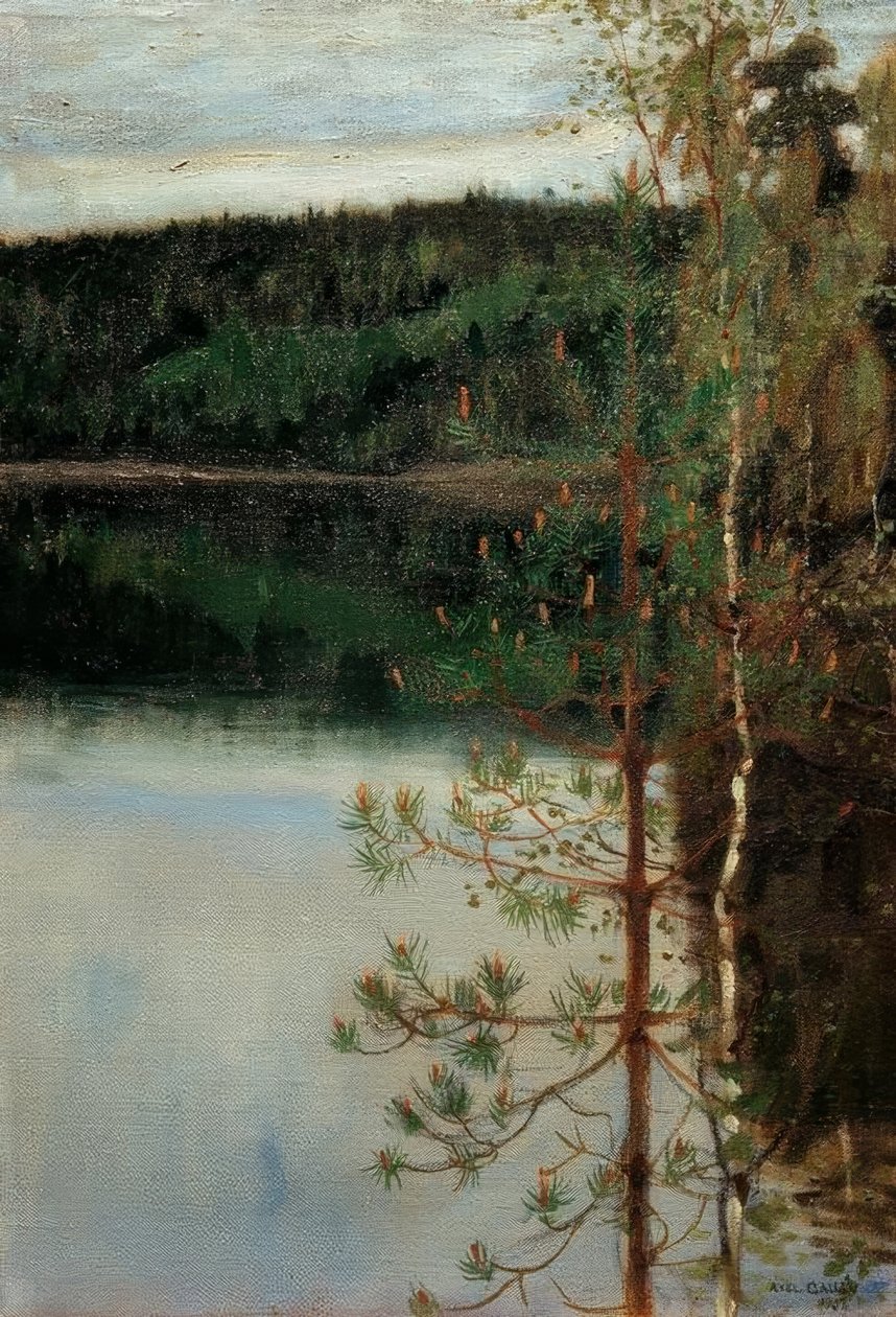 Uitzicht op een meer door Akseli Valdemar Gallen Kallela