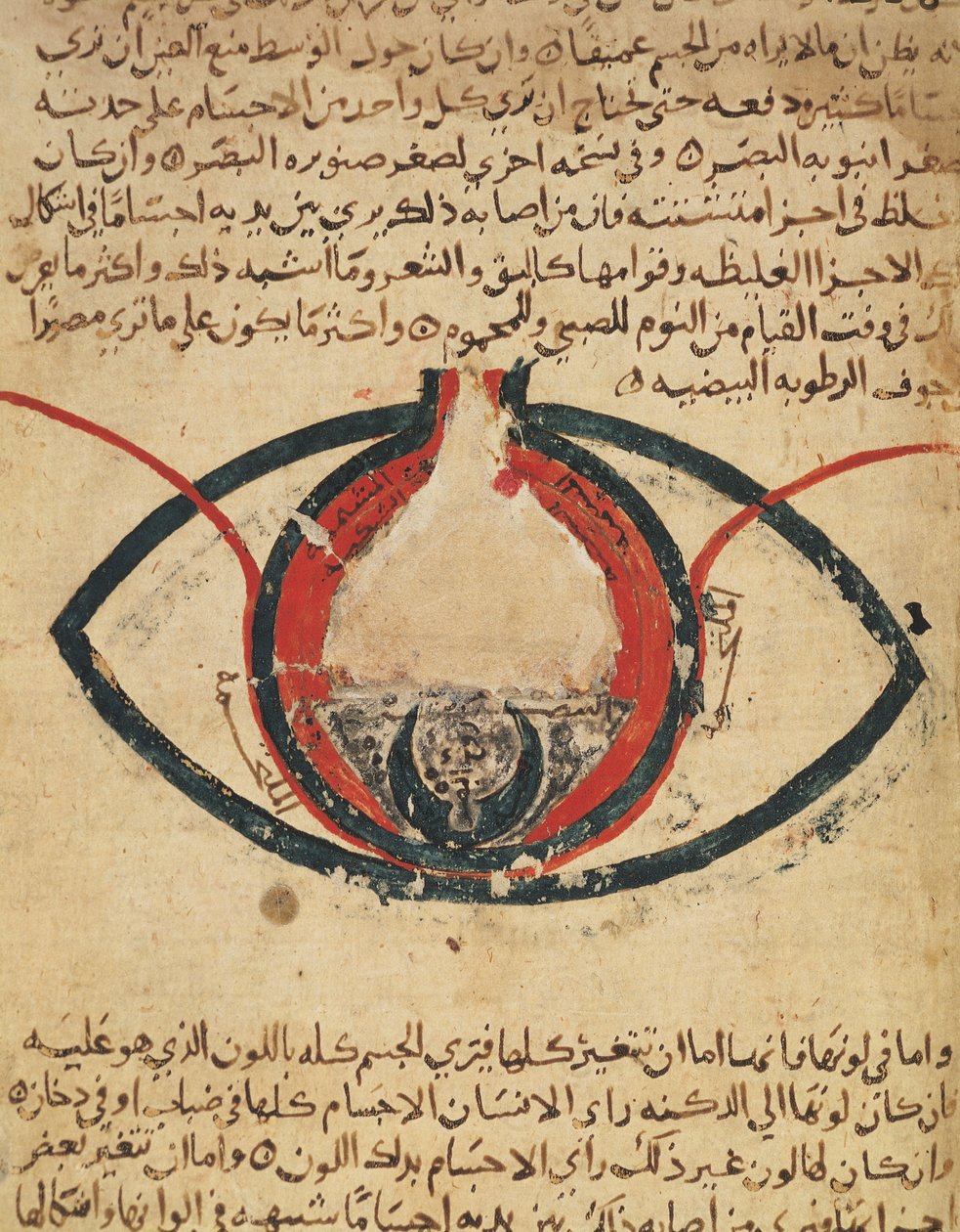 Anatomie van het oog, uit een boek over oogziekten door Al Mutadibi