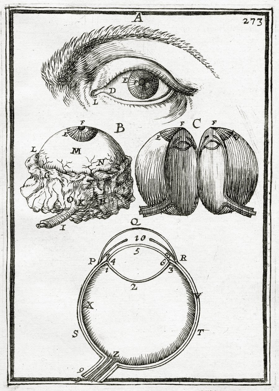 Illustratie uit La Geometrie Pratique 1702 door Alain Manesson Mallet