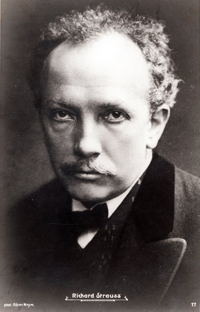 Richard Strauss door Albert Meyer
