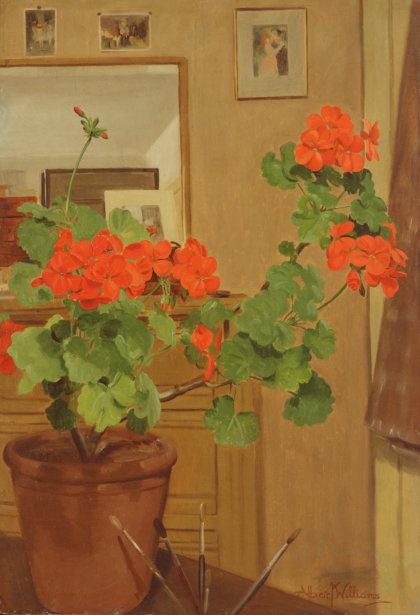 Geraniums in een studioruimte, 1948-49 door Albert Williams