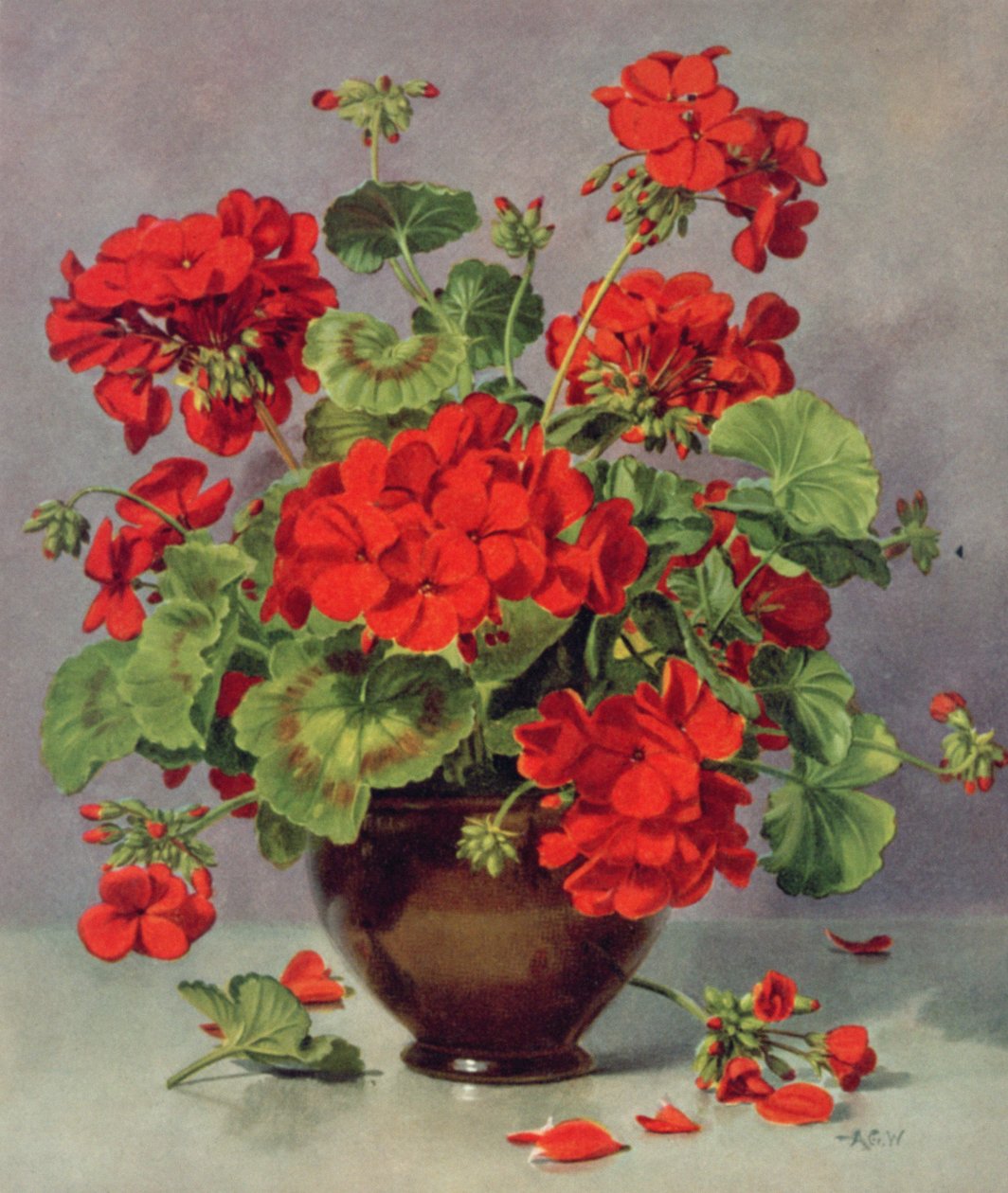 Geranium in een aardewerken vaas door Albert Williams