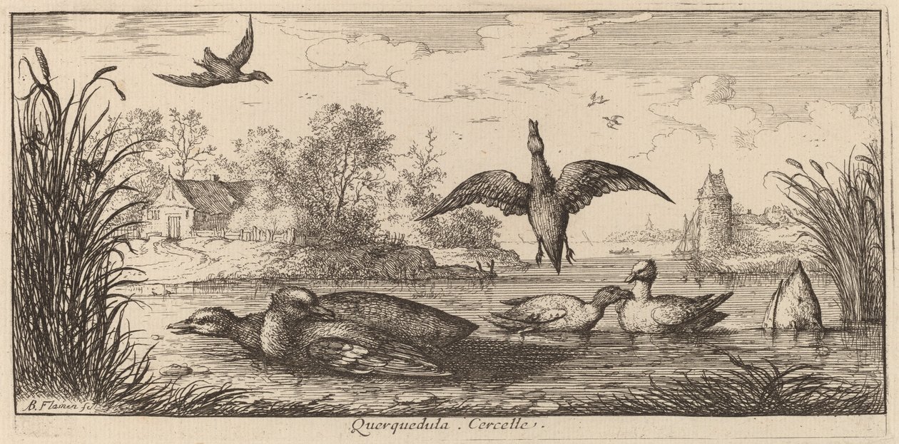 Querpedula, de Taling door Albert Flamen