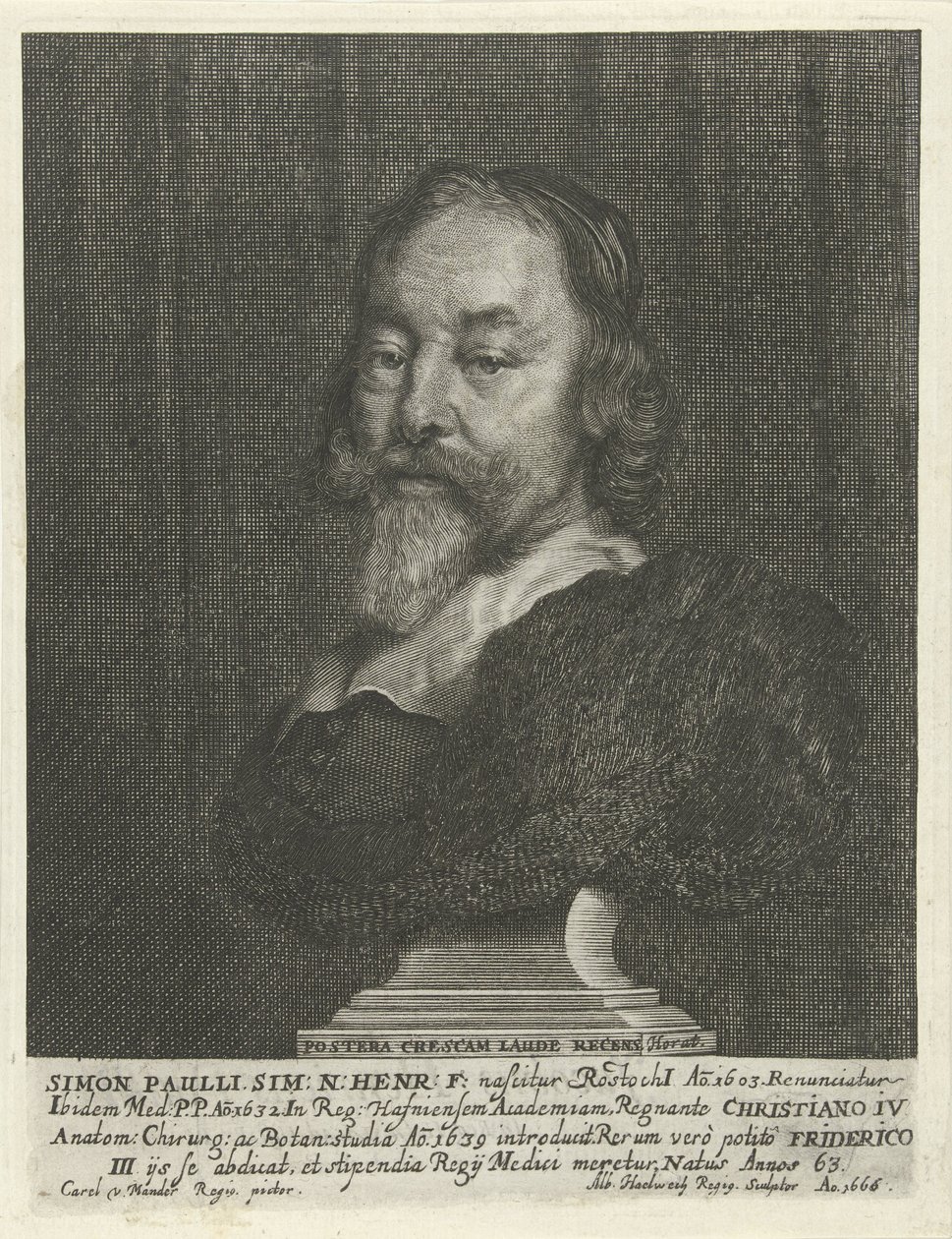 Buste van Simon Paulli door Albert Haelwegh
