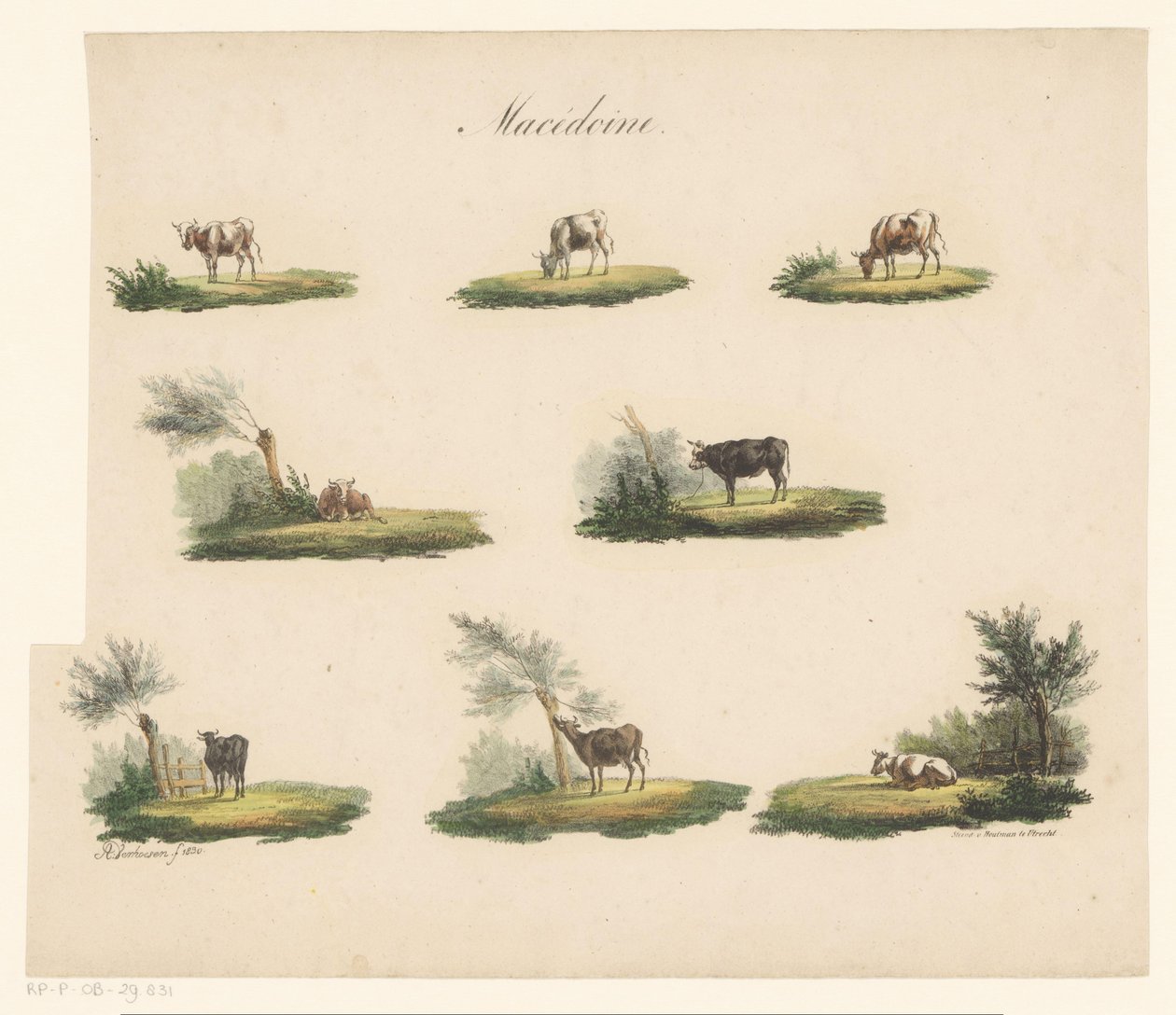 Koeien in landschap door Albertus Verhoesen