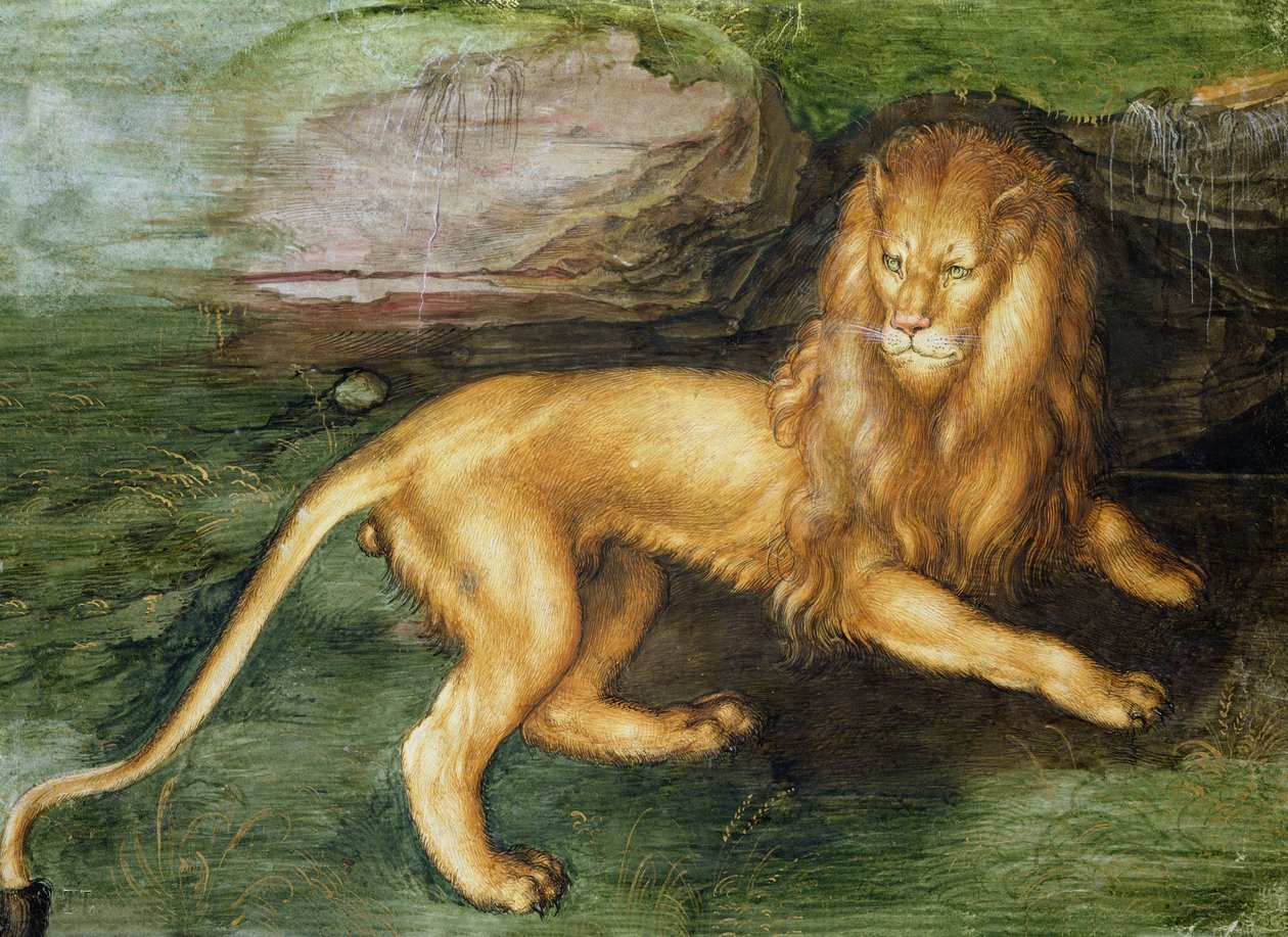 Leeuw door Albrecht Dürer
