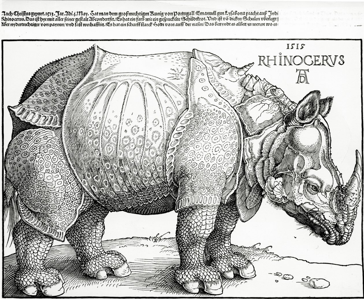 De Neushoorn, 1515 door Albrecht Dürer