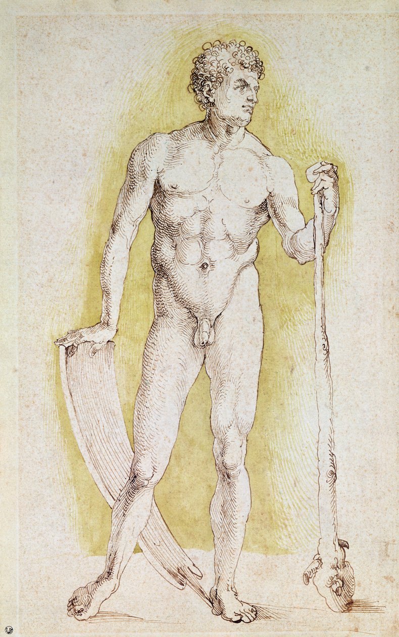 Jonge Naakte Man door Albrecht Dürer