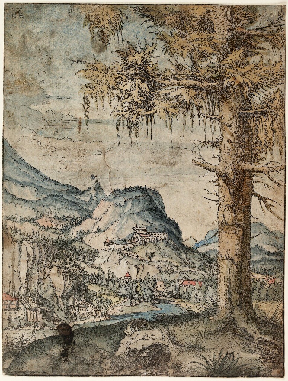 Duits: De grote spar Grote spar door Albrecht Altdorfer