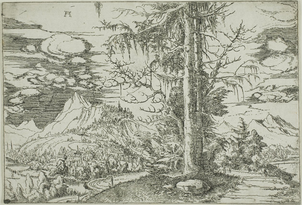 Landschap met een dubbele spar door Albrecht Altdorfer