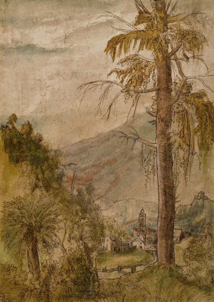 Landschap met Kerk door Albrecht Altdorfer