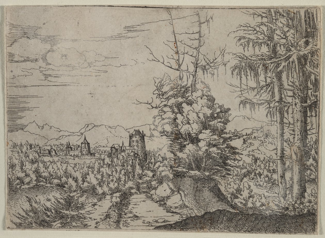 Landschap met twee pijnbomen, 1522-1525 door Albrecht Altdorfer