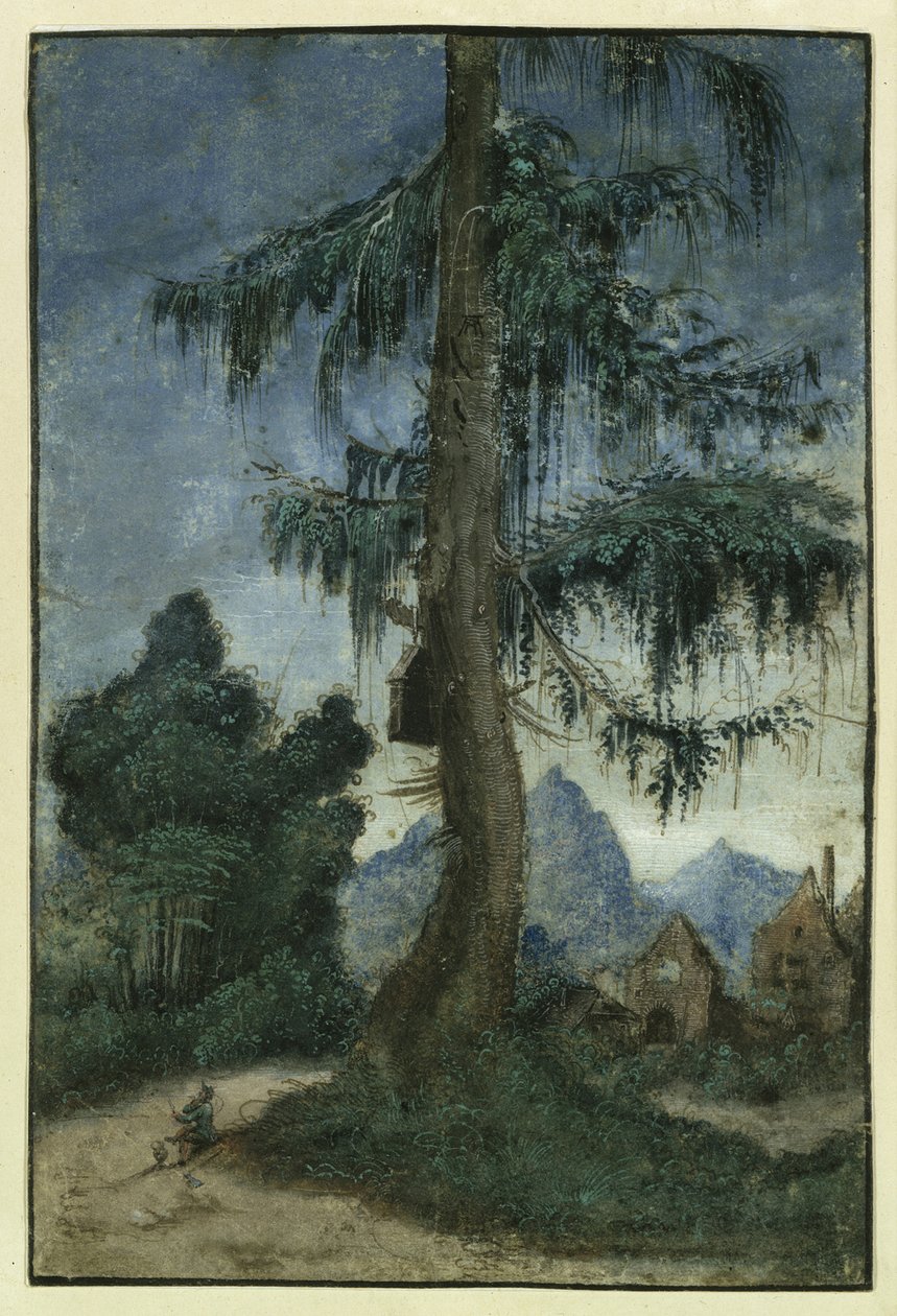 Landschap met een spar, ca. 1522 door Albrecht Altdorfer