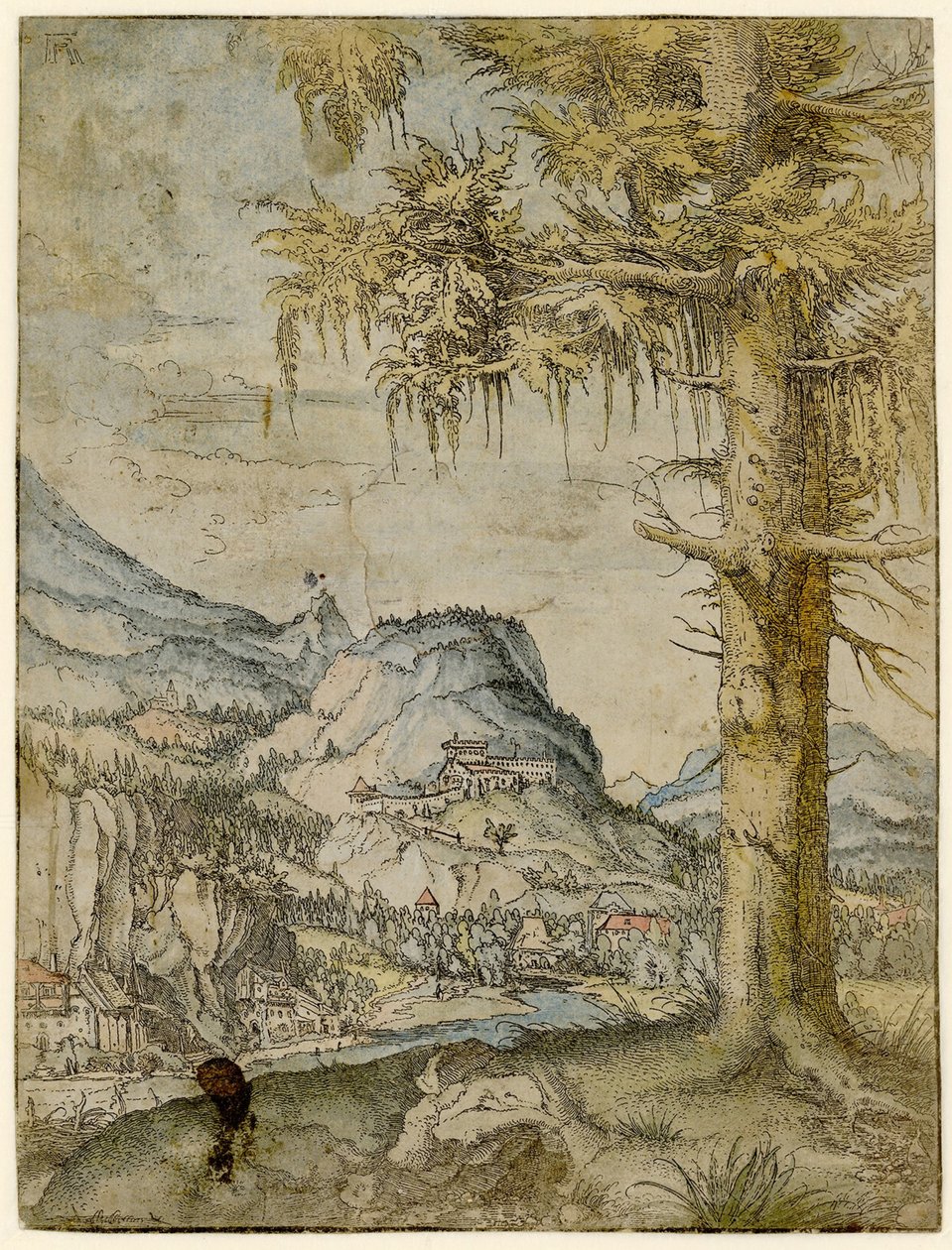 Grote spar, ca. 1517-1520 door Albrecht Altdorfer