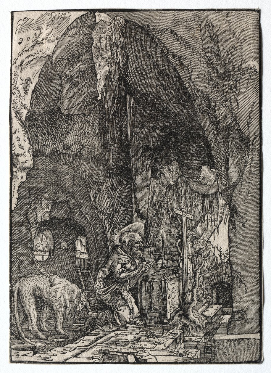 Sint Hiëronymus in de Grot door Albrecht Altdorfer