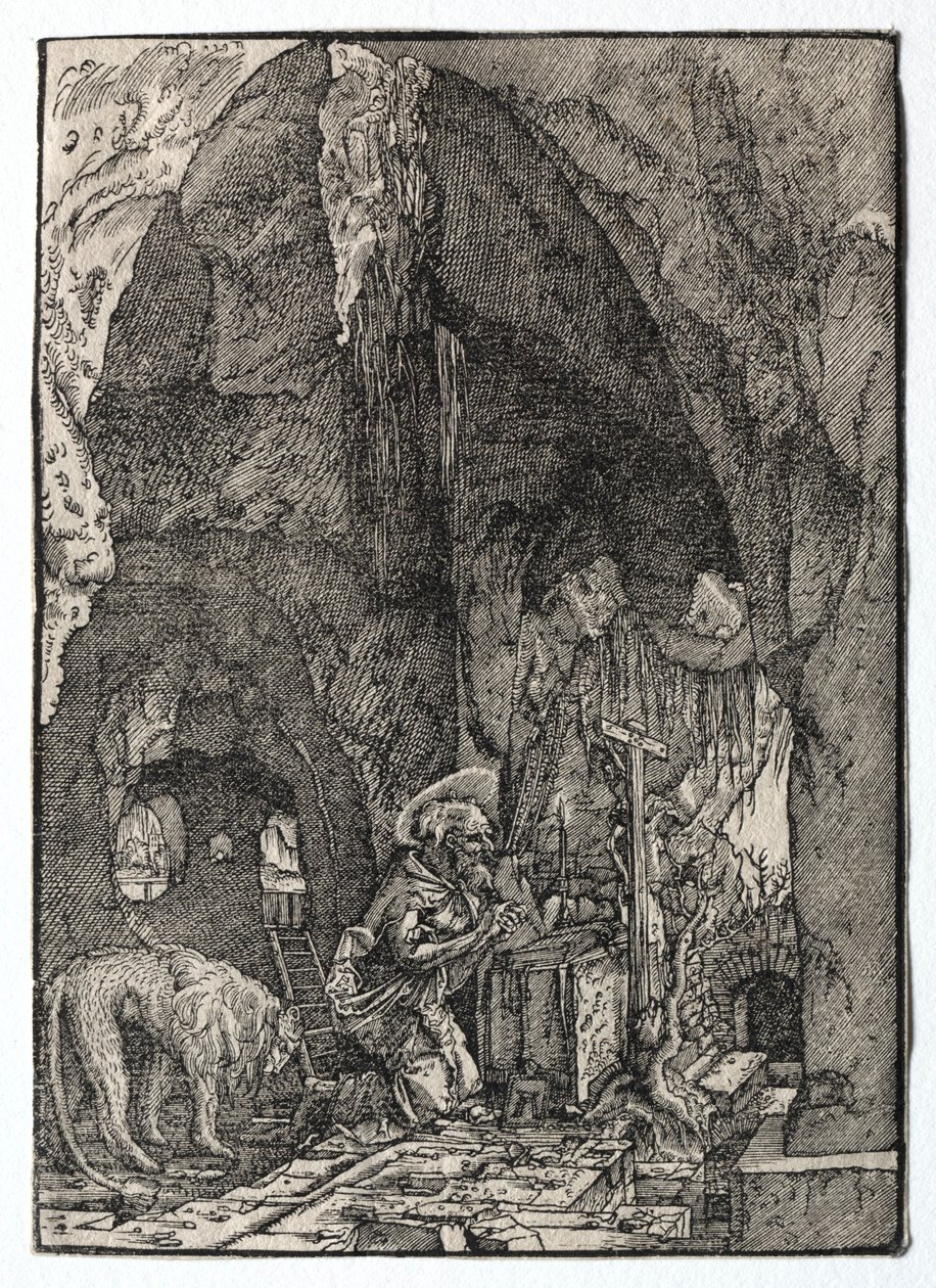 St. Hiëronymus in de grot, 1513-1515 door Albrecht Altdorfer