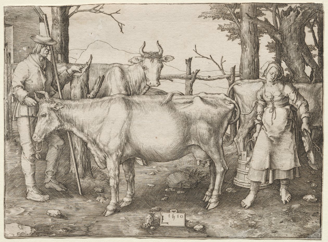 Het Melkmeisje door Albrecht Altdorfer