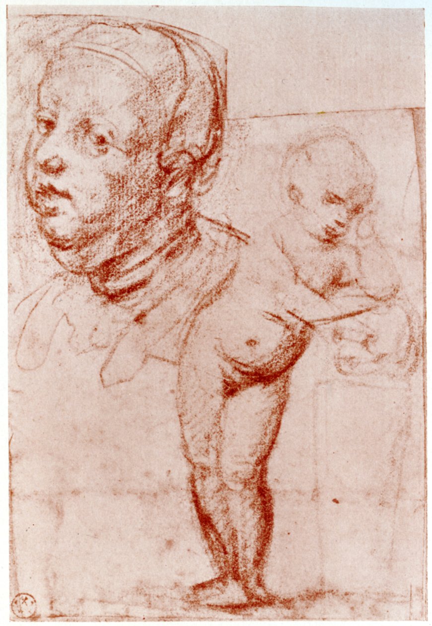 Studies, 1913 door Albrecht Dürer