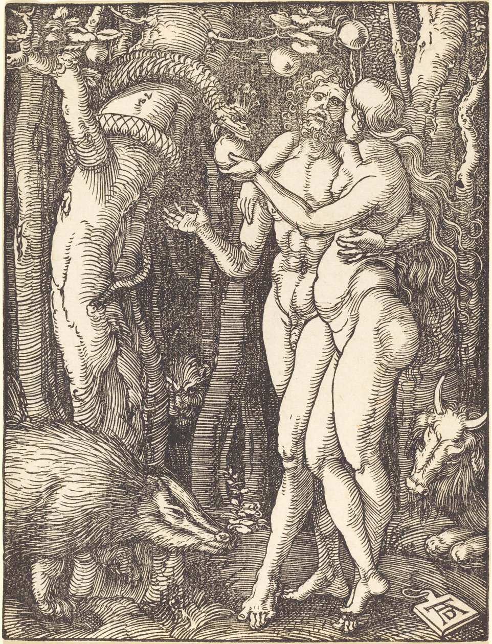 De Val van de Mens door Albrecht Dürer