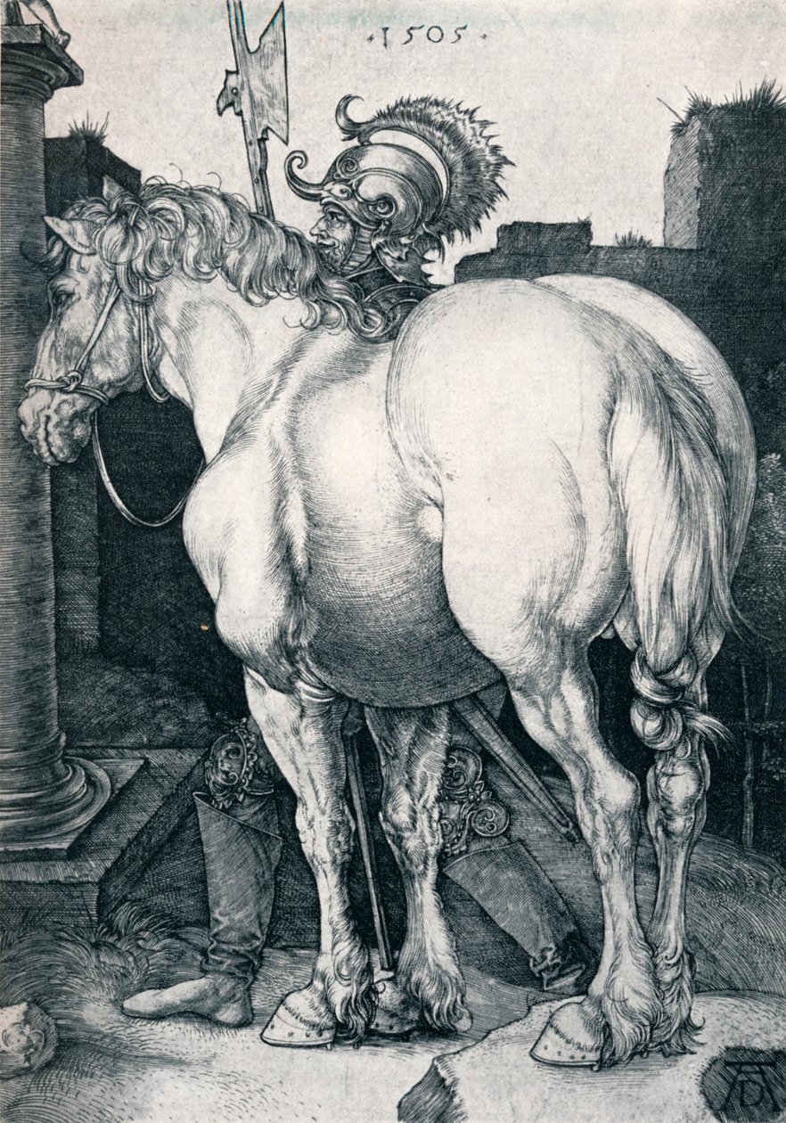 Het grote paard door Albrecht Dürer