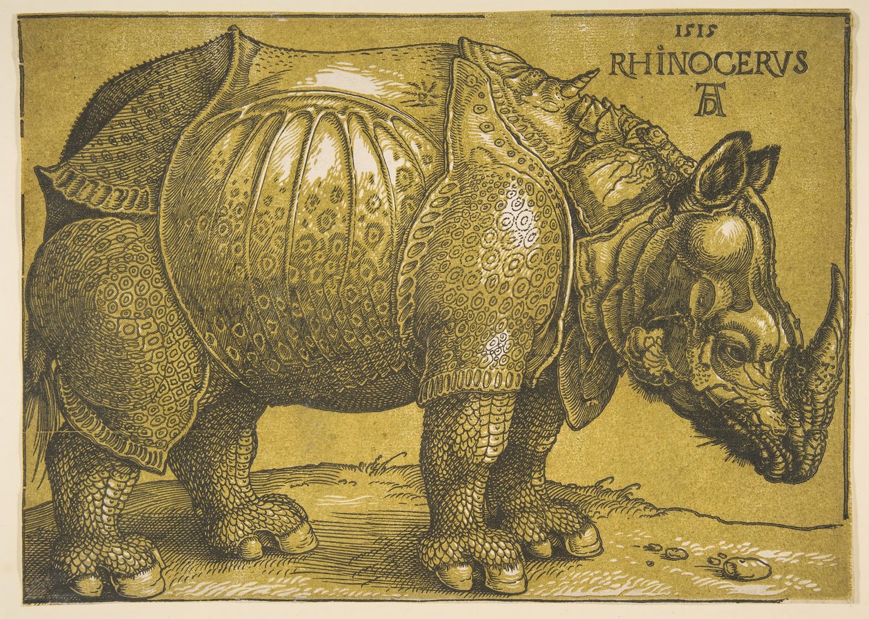 De neushoorn, na 1620 door Albrecht Dürer