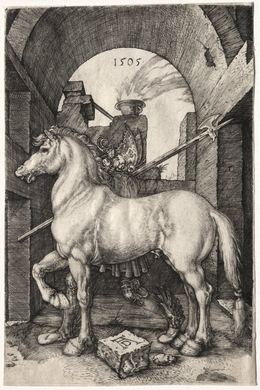 Het Kleine Paard door Albrecht Dürer