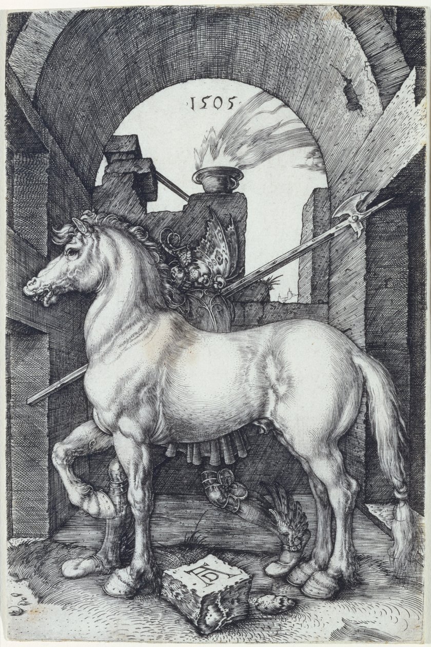 Het Kleine Paard door Albrecht Dürer
