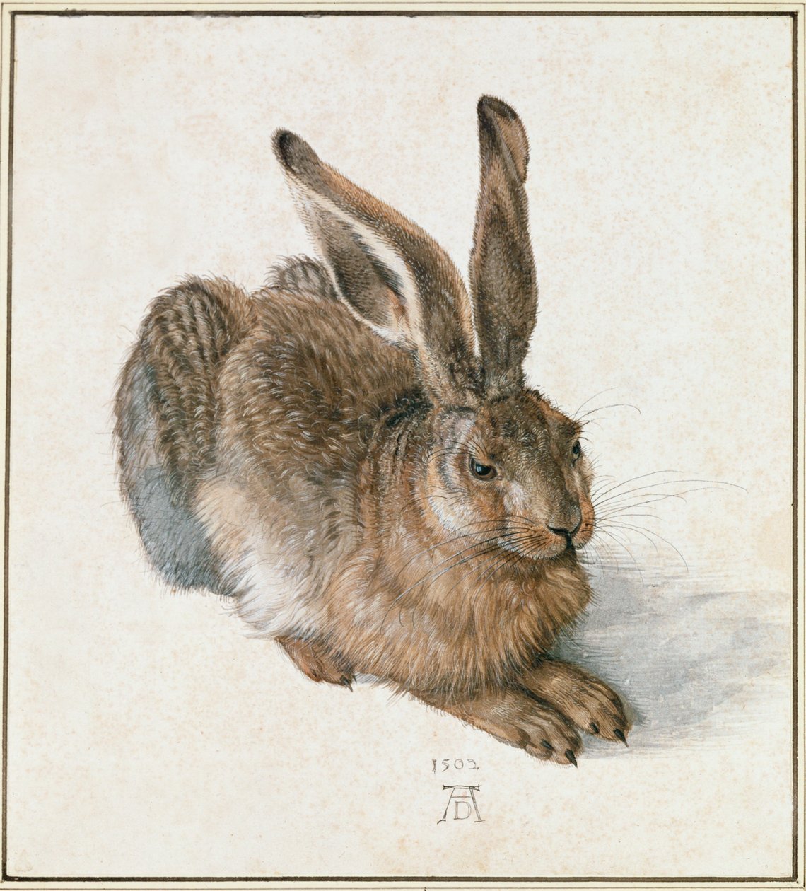 Jonge Haas door Albrecht Dürer or Duerer