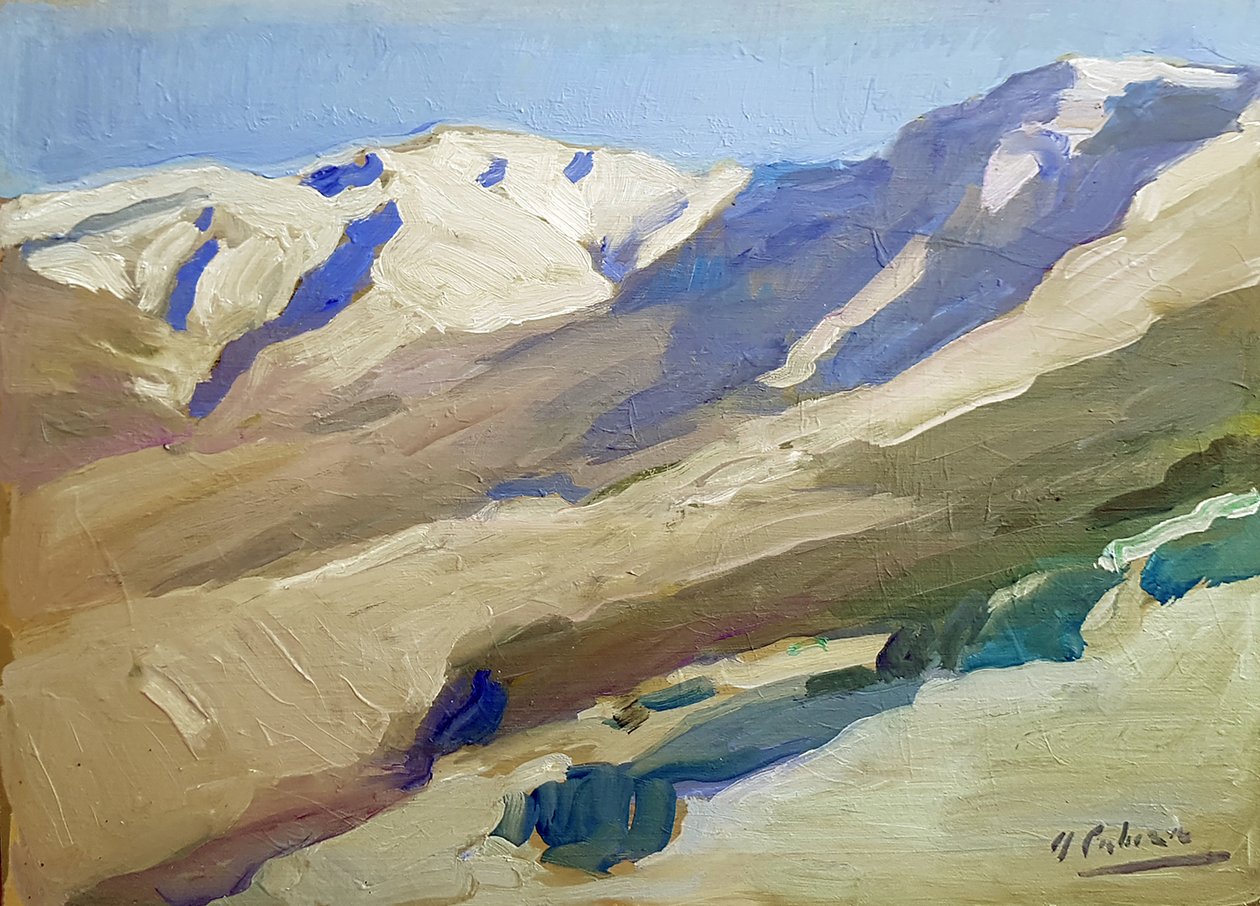 Landschap van de Pinajarro door Alejandro Cabeza