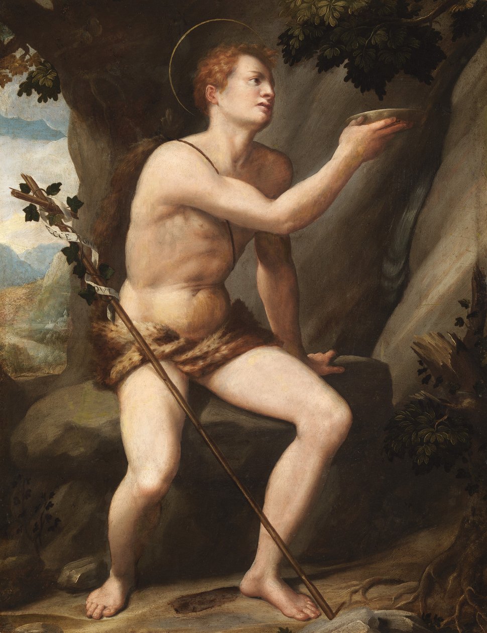 Johannes de Doper door Alessandro Allori