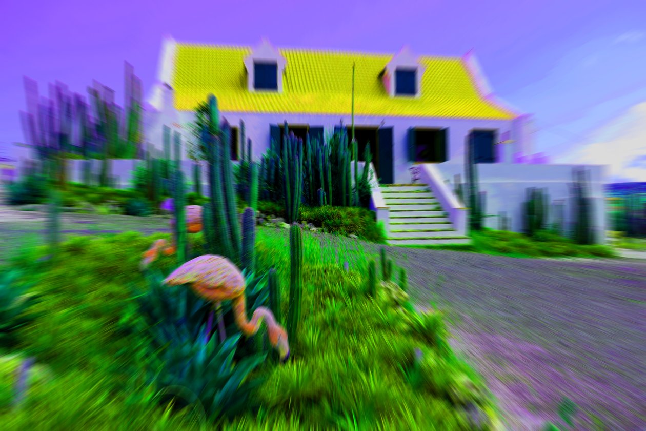 Poppenhuis, 2019 door Alex Caminker