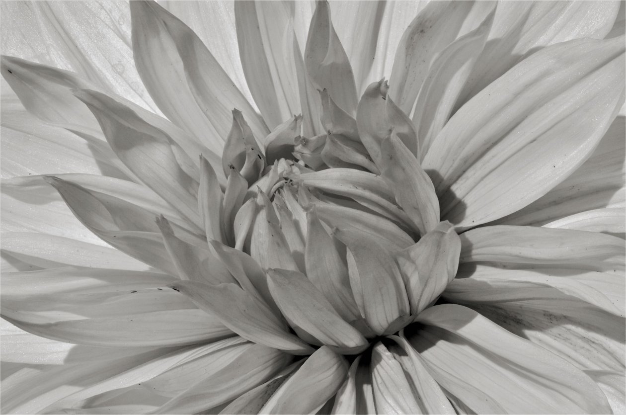 Zonder titel, 2019 door Alex Caminker