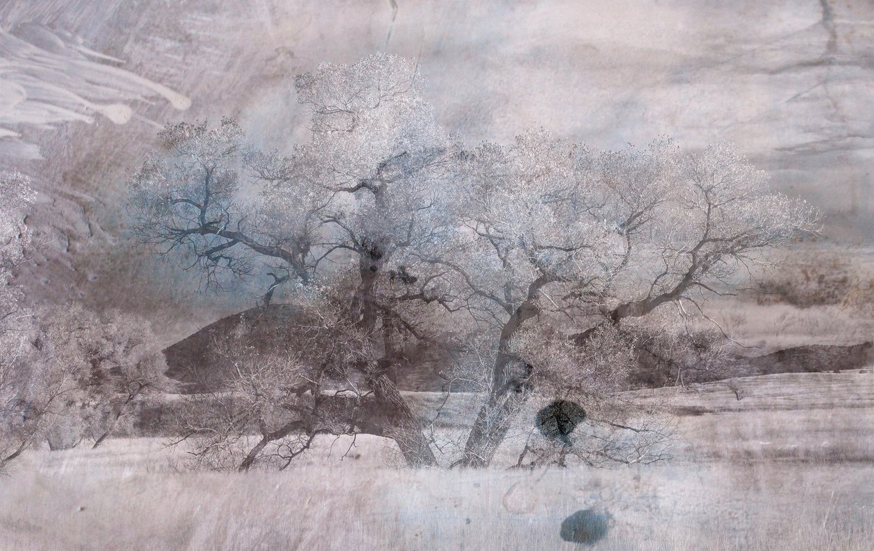 Blauwe mist, 2019 door Alex Caminker