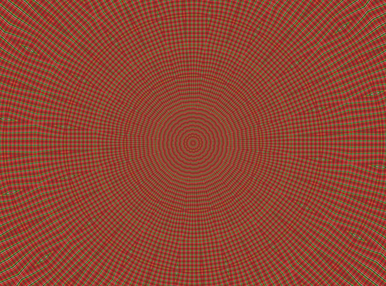 ornament #2, 2019 door Alex Caminker