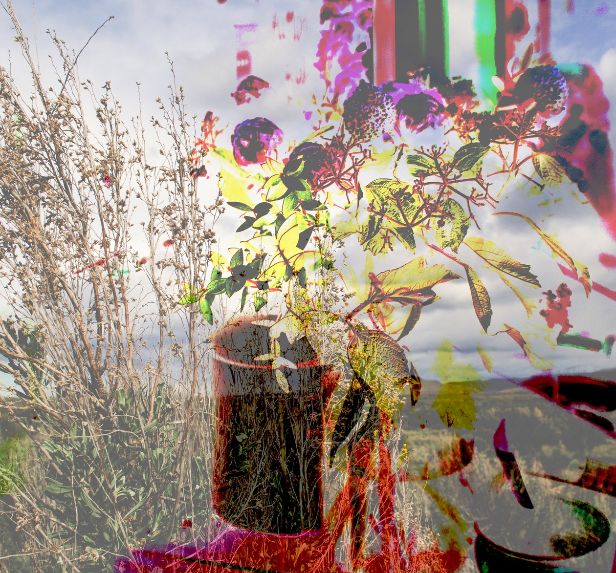 Stilleven, 2019 door Alex Caminker
