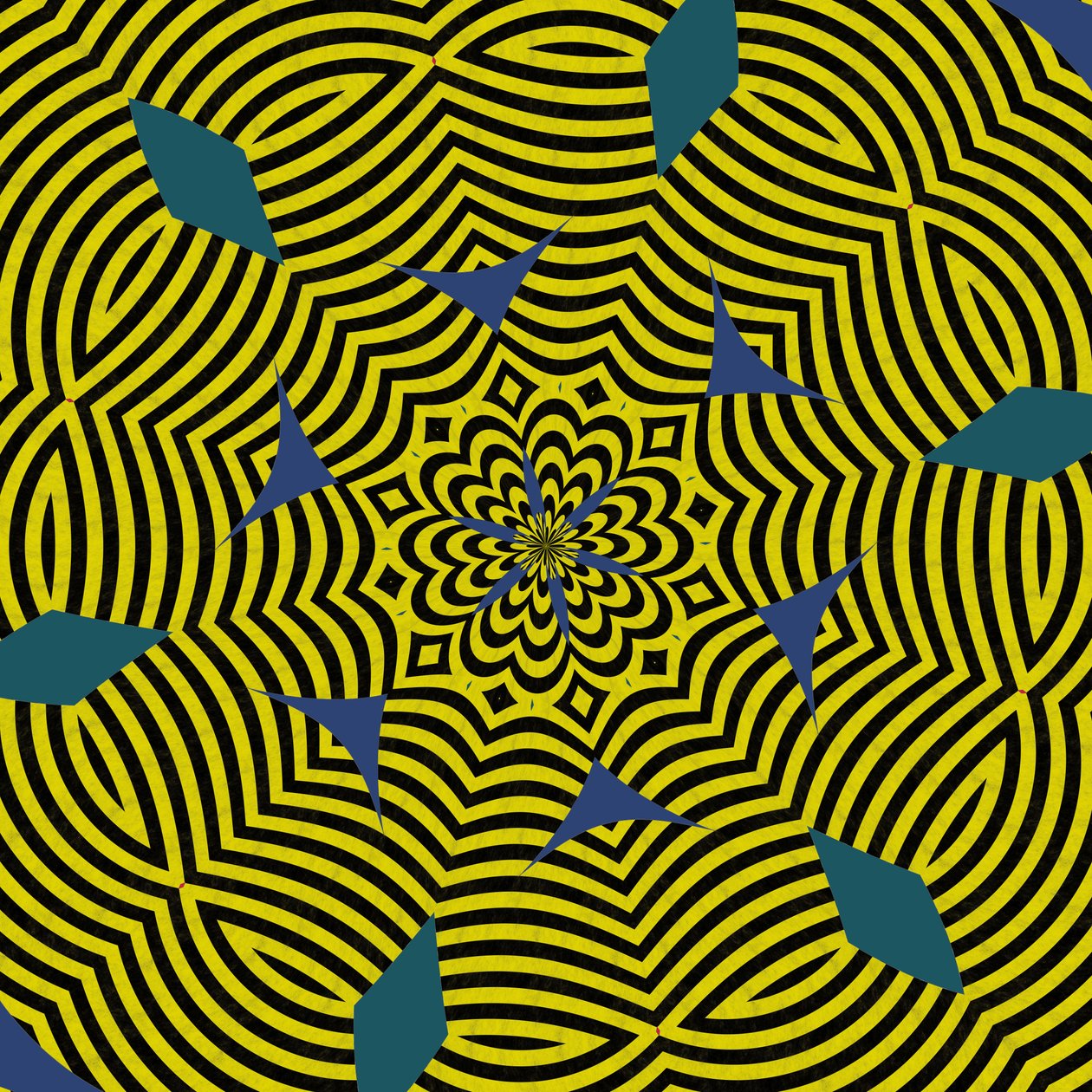 symmetrie #13 door Alex Caminker